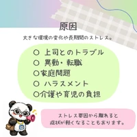 画像336